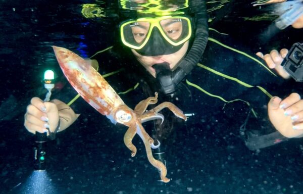 Night Snorkel Tour Cozumel