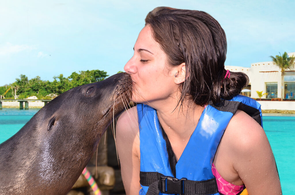 Dolphin Royal Swim VIP at Cozumel