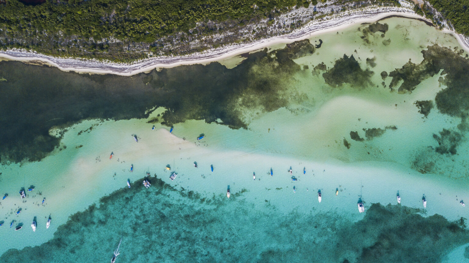 All Cozumel Tours