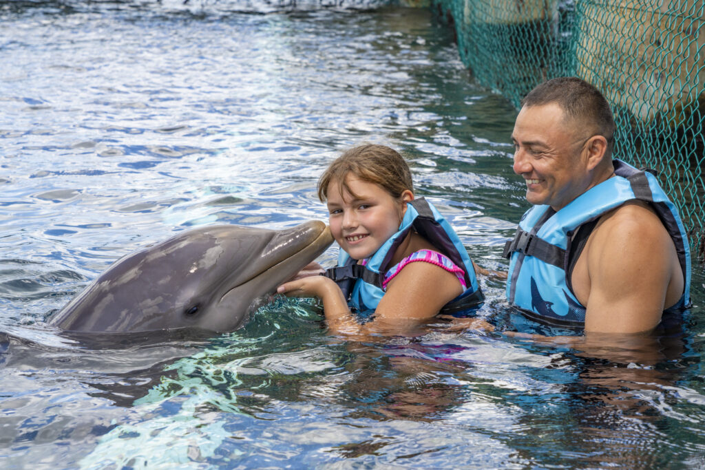 Dolphin Encounter in Cozumel