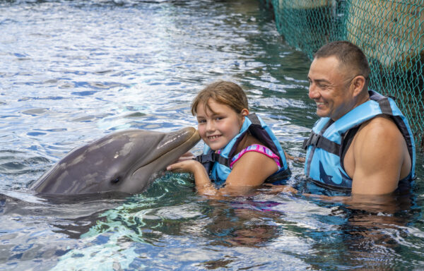 Dolphin Encounter in Cozumel Mexico