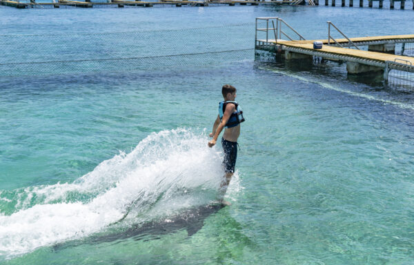 Dolphin Royal Swim VIP at Cozumel