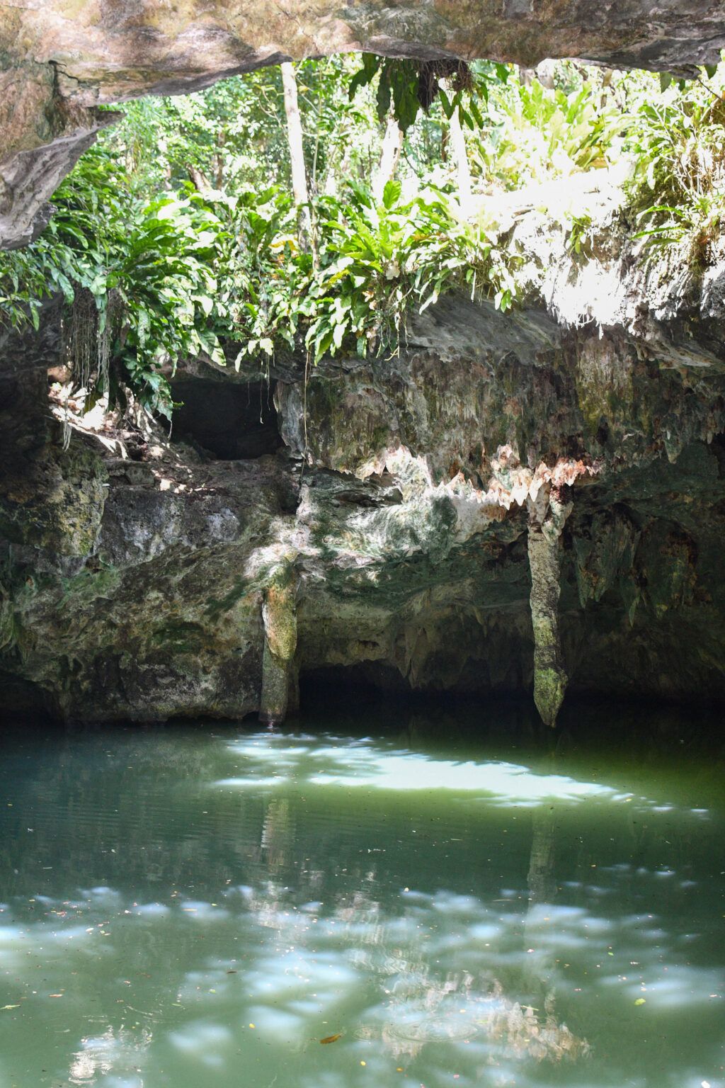 Tour de cenotes en Cozumel