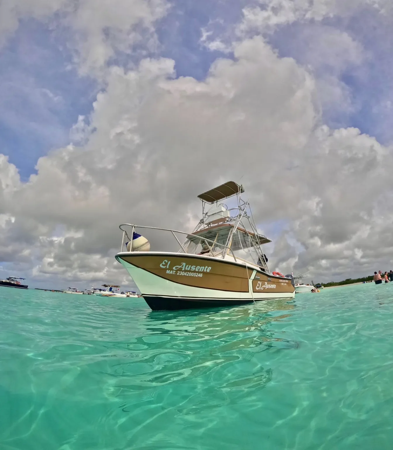 Private Cozumel Turtle Sanctuary Snorkel Tour 2025