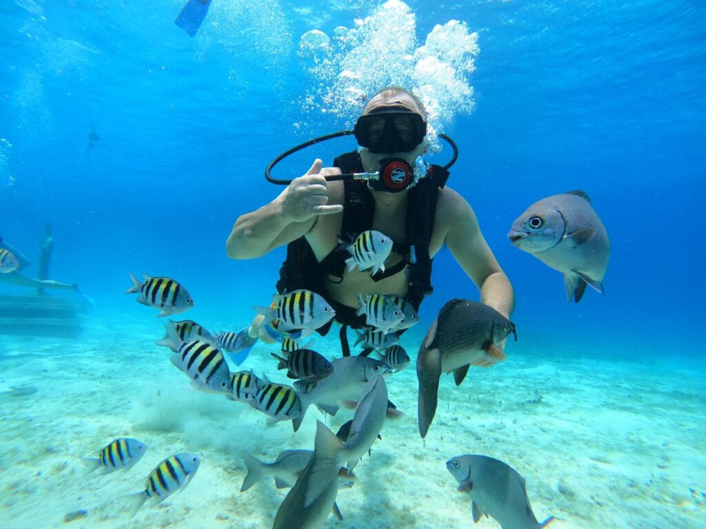 Discovery Scuba Diving Cozumel: Dive into a Beginner’s Paradise