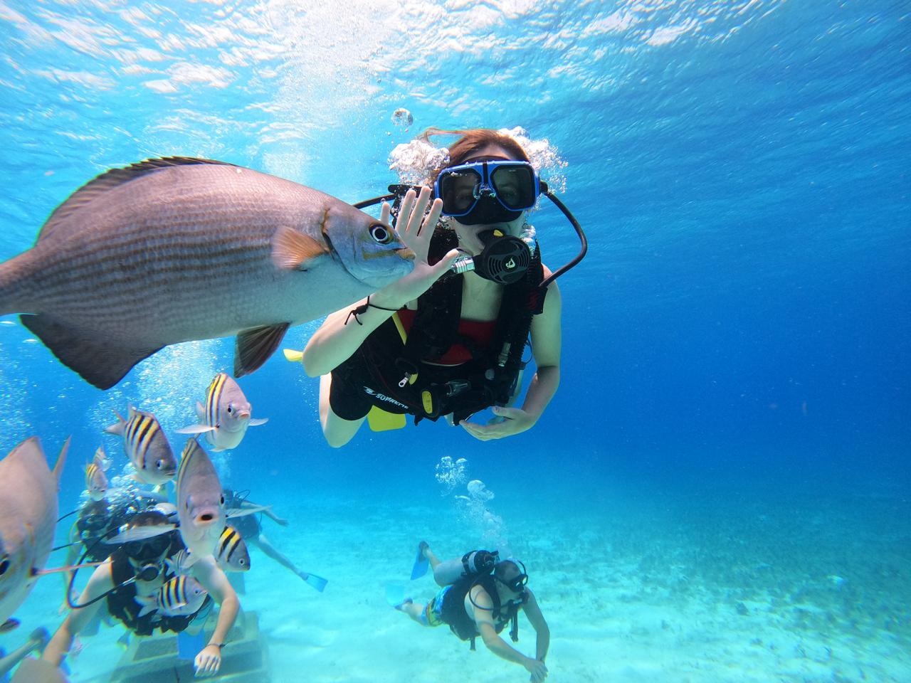 Discovery Scuba Diving Cozumel