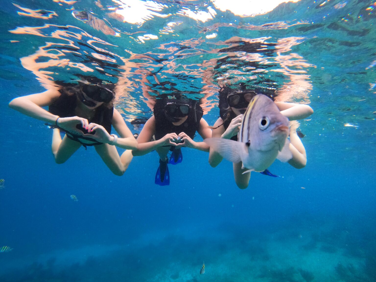 Book Here our Featured snorkeling tours in Cozumel